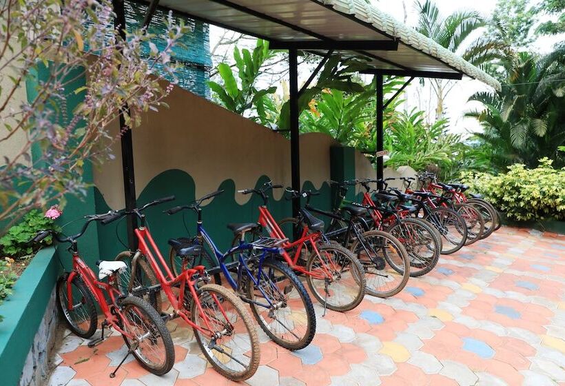 酒店 Coorg Jungle Camp Backwater Resort