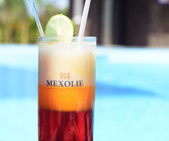 בית מלון כפרי Mexolie