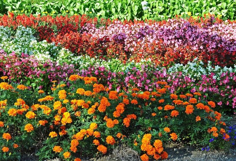 酒店 Shibetsu Inn Suigetsu