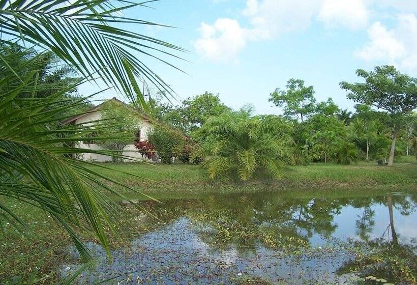 펜션 Coconut Valley Bed & Breakfast