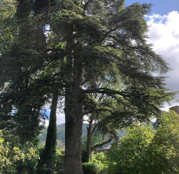 פנסיון Chambres Et Table D Hôtes La Billebaude