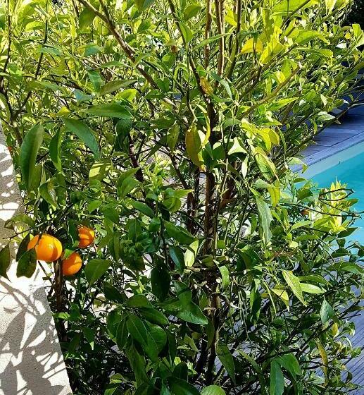 ペンション Le Mas De Marie