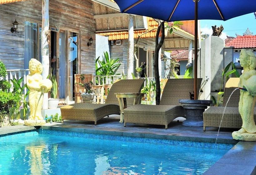بنسيون The Box Paradise Bungalow