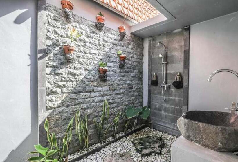 بنسيون The Box Paradise Bungalow