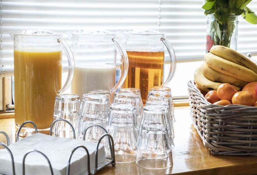 The Cabin Haarlem   Hostel