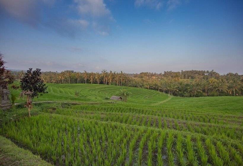 Bed and Breakfast Bali Green Retreat