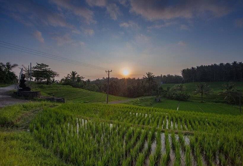Bed and Breakfast Bali Green Retreat