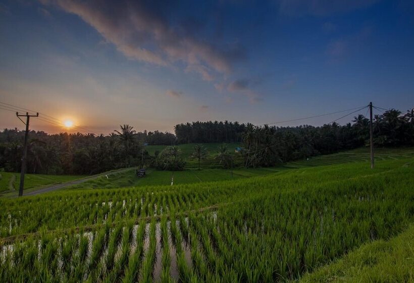 Bed and Breakfast Bali Green Retreat