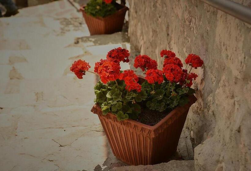 住宿加早餐  Callort