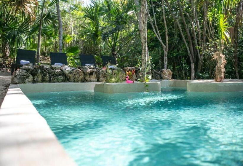 בית מלון כפרי Buenavista Bacalar