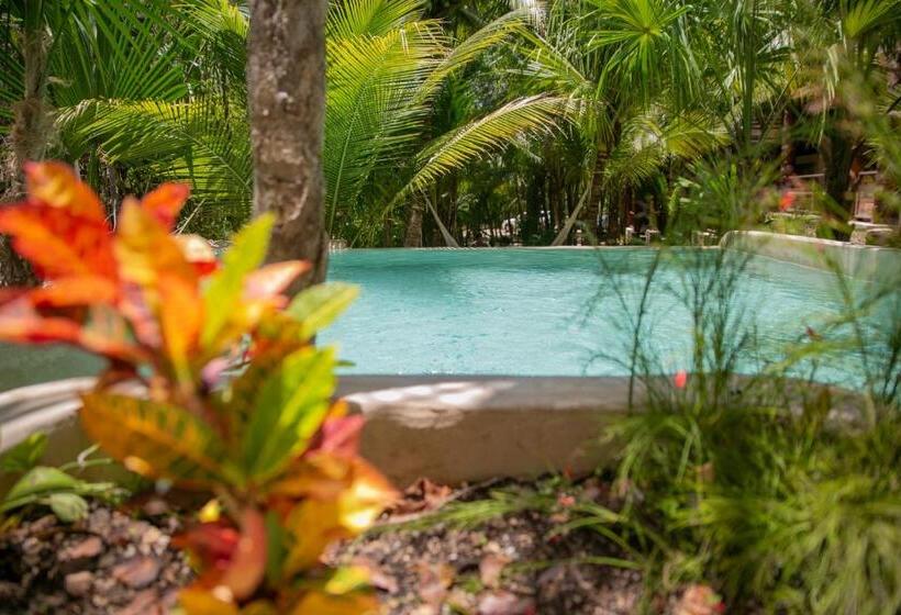 בית מלון כפרי Buenavista Bacalar