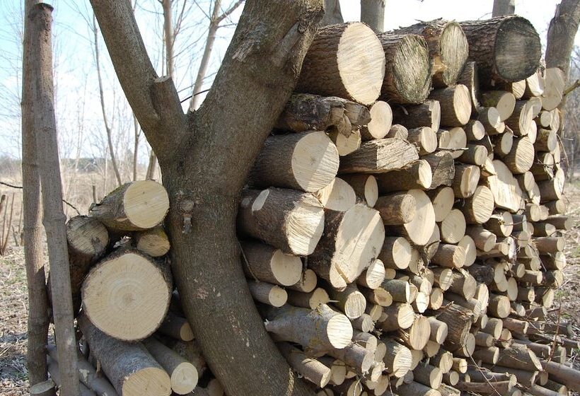 فندق Club Of Active Recreation Action