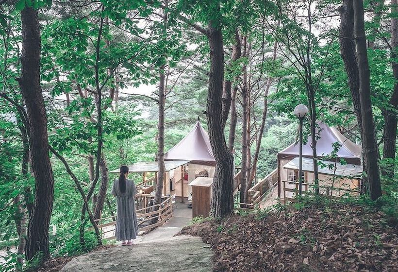 酒店 Couplestar In Forest Glamping