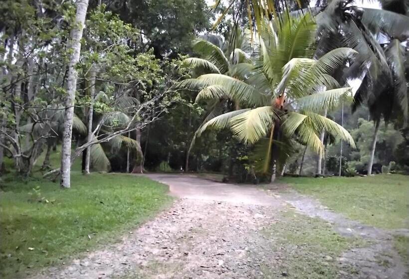 فندق Miridiya Resort