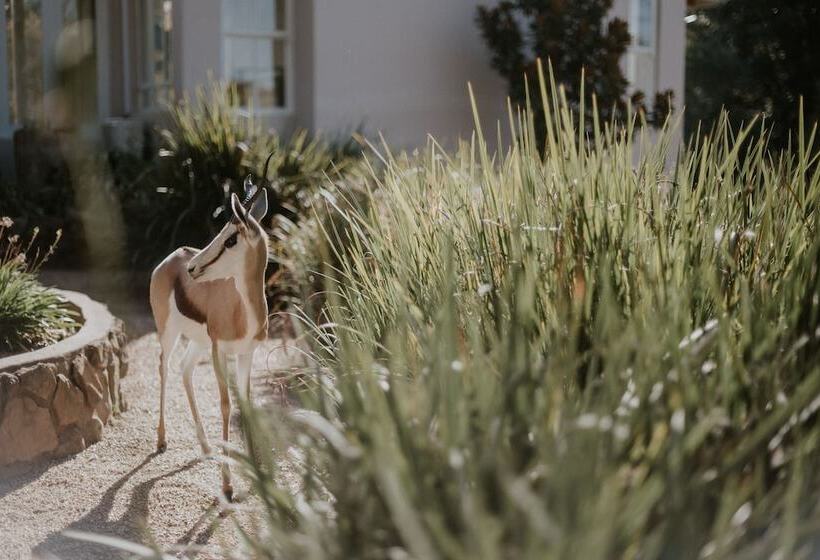 בית מלון כפרי Qambathi Mountain Lodge