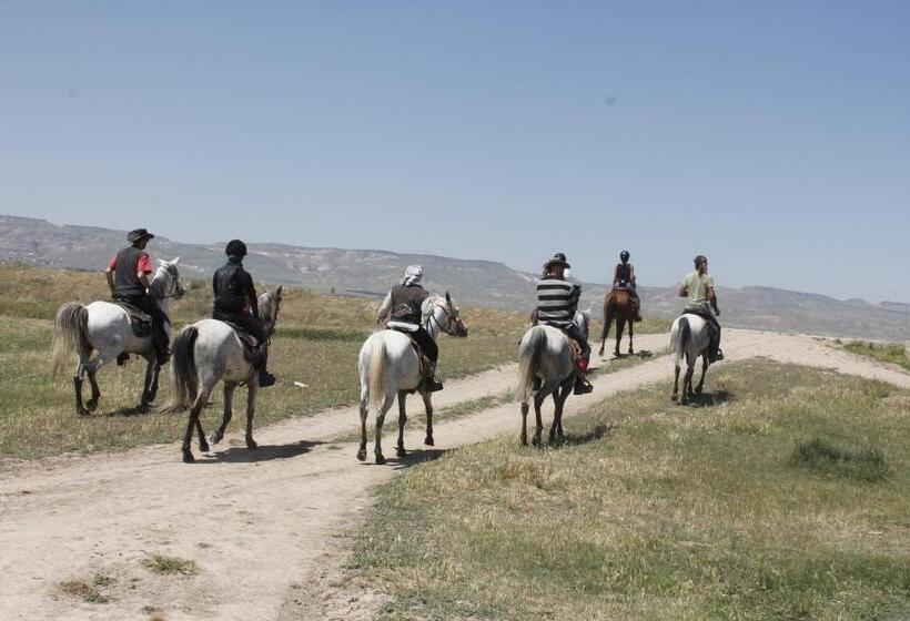 هتل Sultan Pansion Bird Paradise