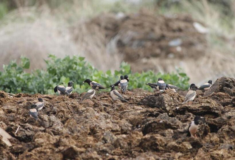 هتل Sultan Pansion Bird Paradise