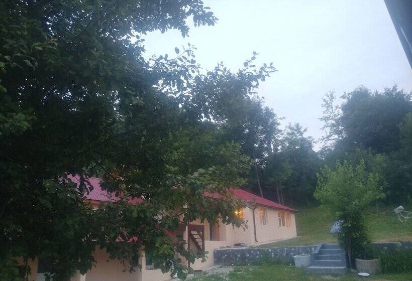 بنسيون Casa Natura Healing Sound