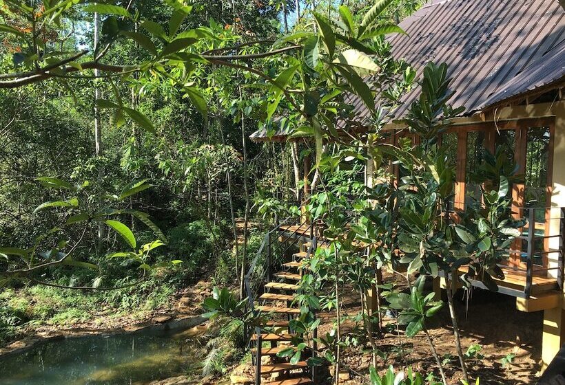 ペンション Rambas Reserve