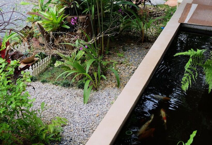 膳宿费 Tonpalm Farmstay