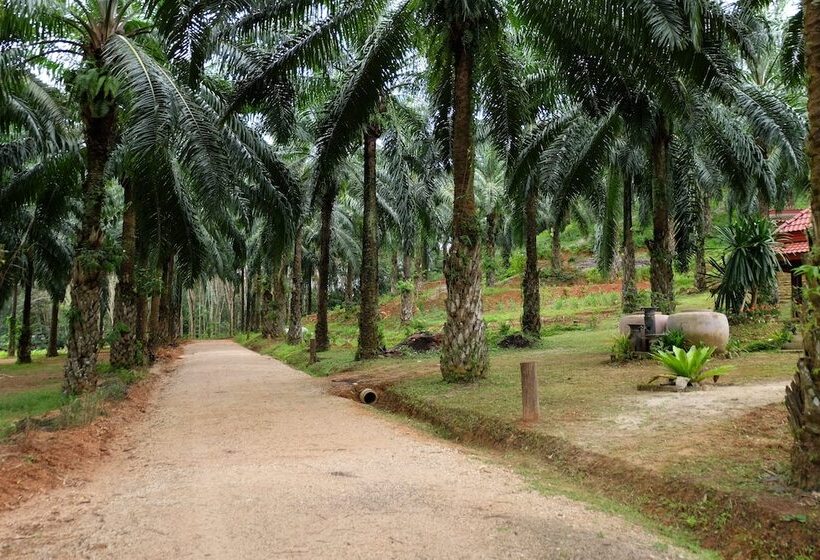 膳宿费 Tonpalm Farmstay