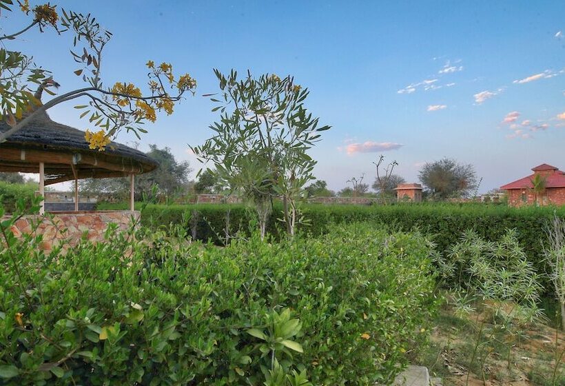 Kurort  The Imperial Farm Retreat Jaipur   A Weekend Gateway
