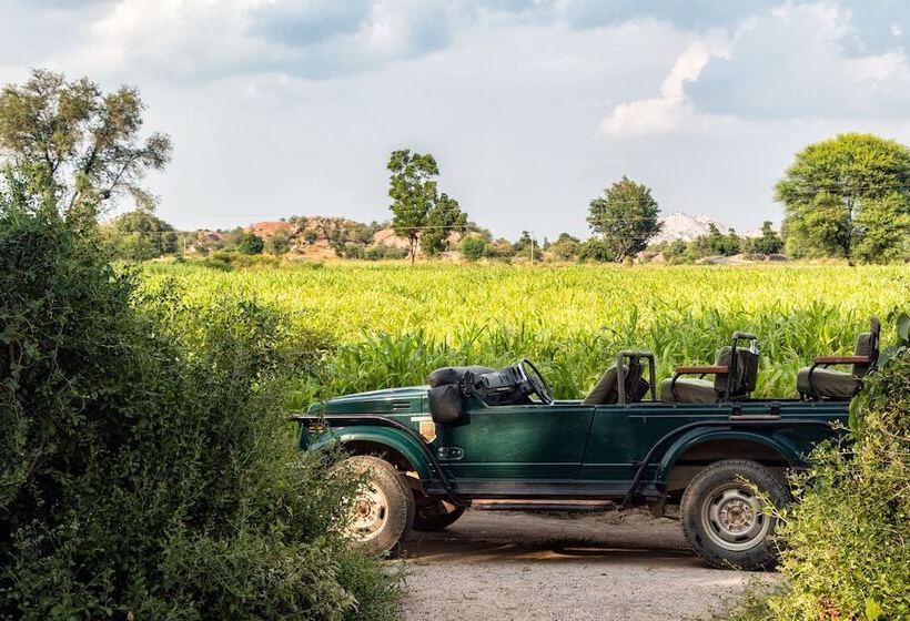 منتجع Varawal Jawai Leopard Safari Camp