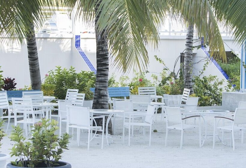 בית מלון כפרי Belize Dive Haven