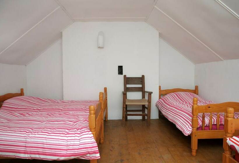 فندق Great Blasket Island Accommodation