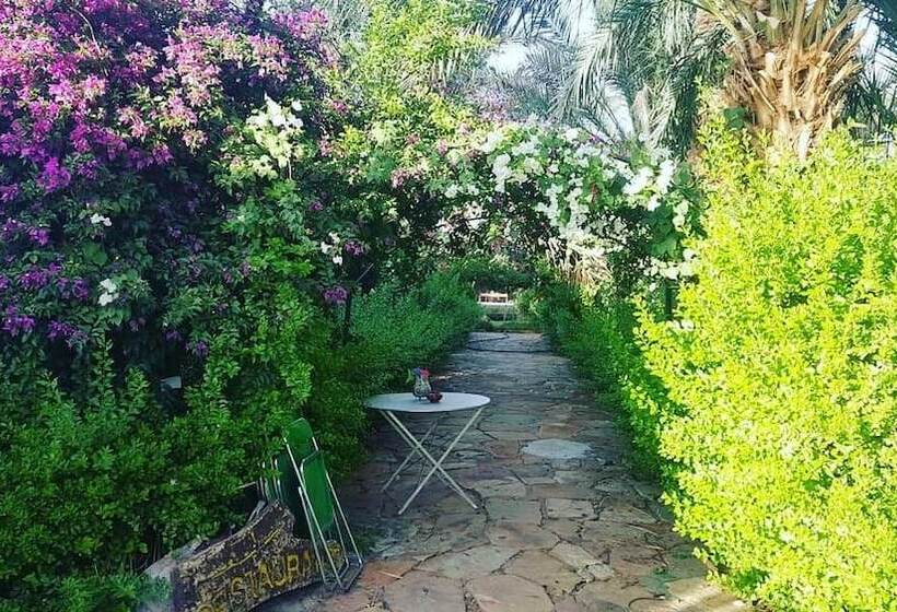 پانسیون Camping Amasttou