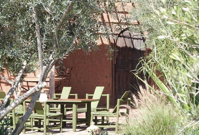 بنسيون Les Asnouss