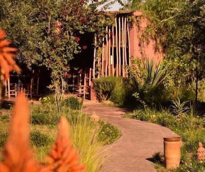 بنسيون Les Asnouss