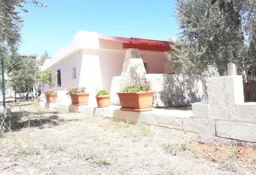 B&b Borgo Cerasa