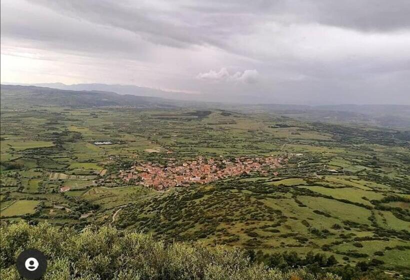 住宿加早餐  Casa Susanna Rural Sardinia