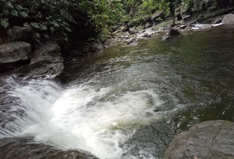 مبيت وإفطار Green Lodge Tangkahan