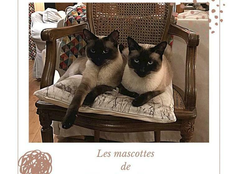 Bed and Breakfast L Escale En Beauce