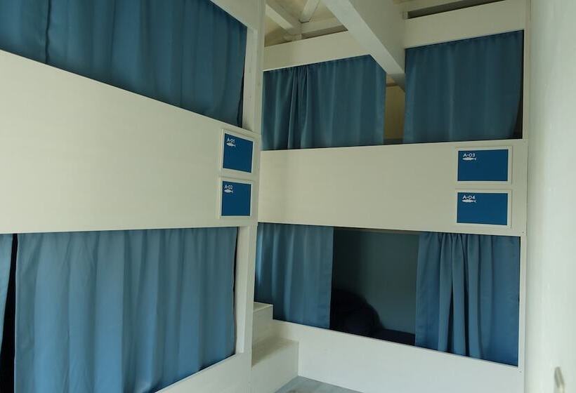 Hostel Nabla