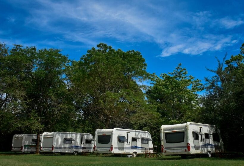 ホテル Big Game On Wheels   Wilpattu