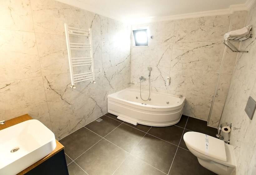 فندق Big Point Plus