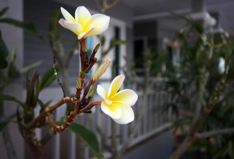 ホテル Rongsang Resort