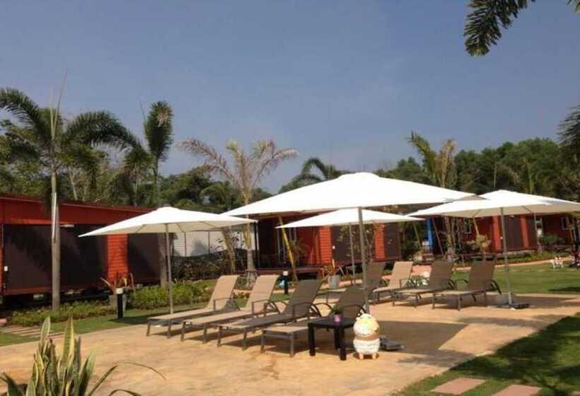 هتل The Toy Art Resort