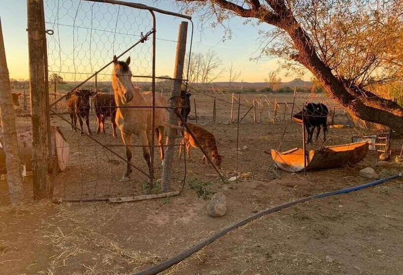 بنسيون Dellville Country House