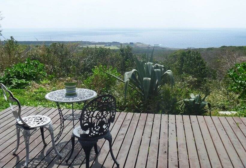 بنسيون Galaxy Guest House