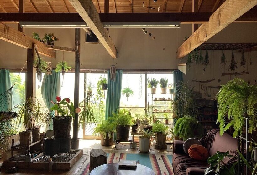 بنسيون Galaxy Guest House