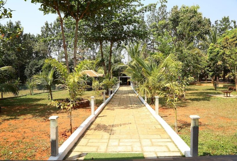 渡假胜地  Ankit Vista Green Village