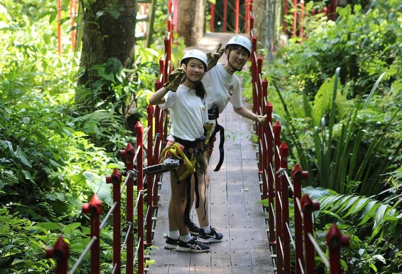 فندق Calico Jack S Village