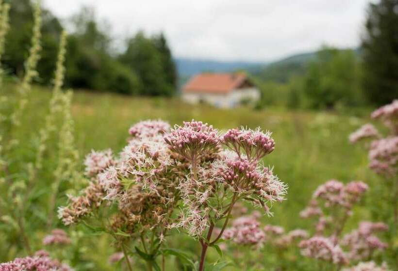 ホテル Domaine Des Messires