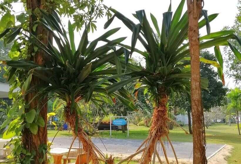 هتل The Princess Beach Resort