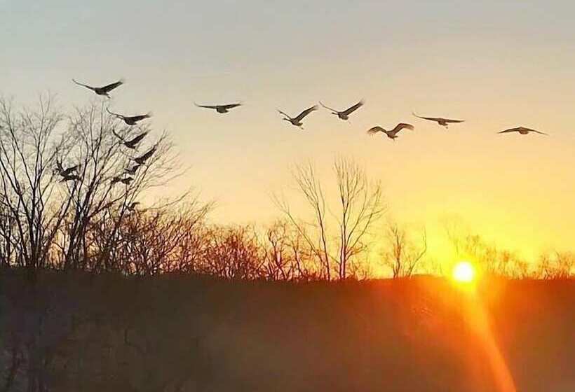 膳宿费 Heart N Tree