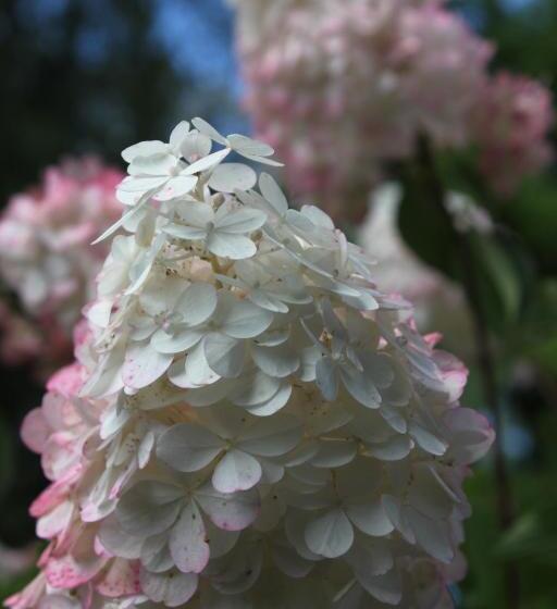 ペンション Uroczysko